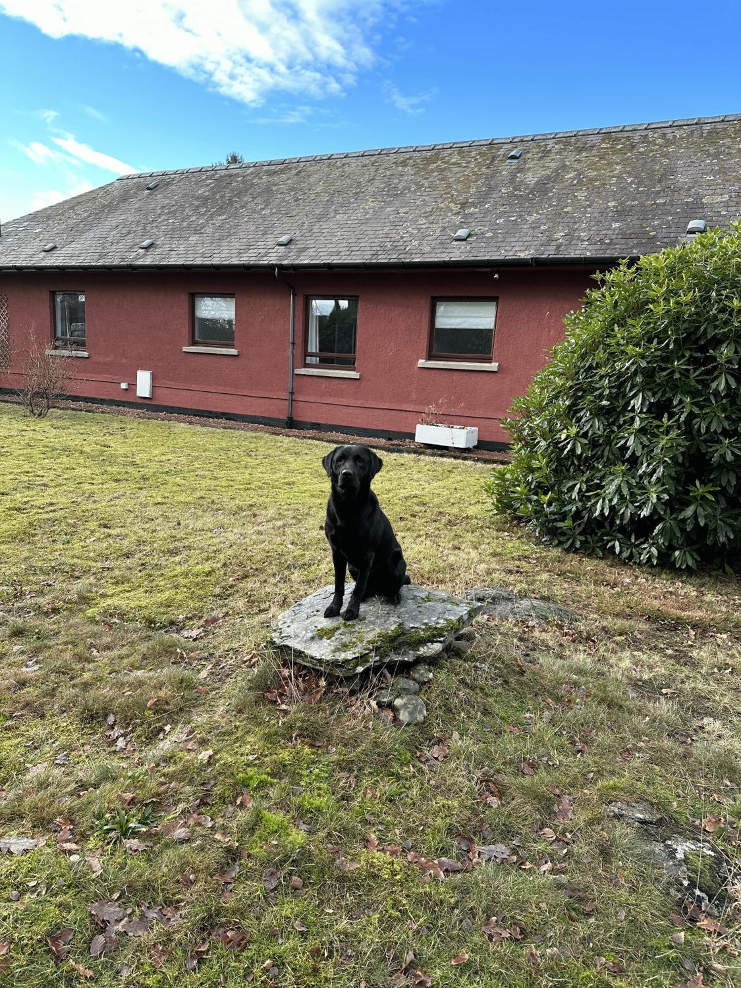 Holiday home Rowan *